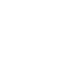 ACE7 emblem