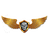 P-PZ emblem