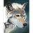 BKWS emblem