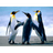 _DDPF emblem