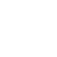 SK_D emblem
