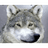 11733 emblem