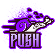 IPUSH emblem