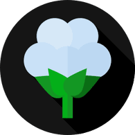 BWN emblem