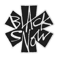 BSNOW emblem