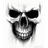 T_BSK emblem