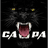 CA-PA emblem