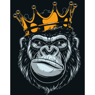 SNOR emblem