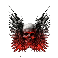 P4M emblem
