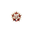 1CAZ emblem