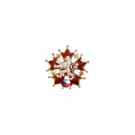 1CAZ emblem