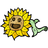 NAPOK emblem