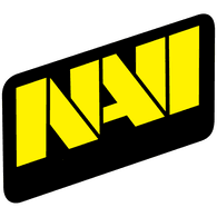 NVI emblem