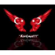 C-T-U emblem