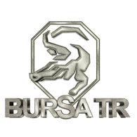 BRSTR emblem