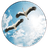 CSUA emblem
