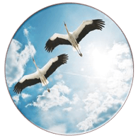 CSUA emblem