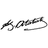 SAVCI emblem