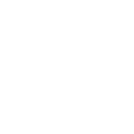 -MARS emblem