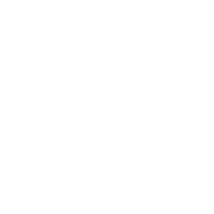 PLE emblem