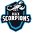 BS emblem