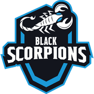 BS emblem