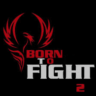 BTF2 emblem