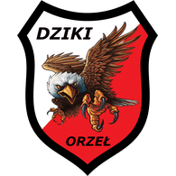 DZ-OR emblem