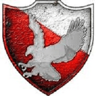 BR-NI emblem