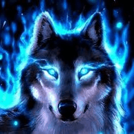 FR_FR emblem