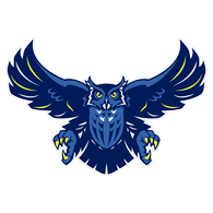 B_OWL emblem