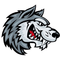 BIZIM emblem