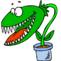 ADELY emblem