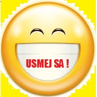 USMEV emblem
