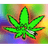 _WSS emblem