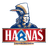 RUUCH emblem