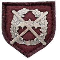 LS-LV emblem