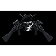 XAEX emblem