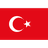 REIS emblem
