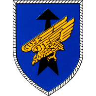 -DSO emblem