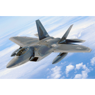 F22UA emblem
