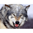 SL_IS emblem