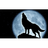 110DP emblem