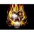 UB_RO emblem