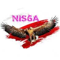 NIS6A emblem