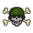 D_TS emblem
