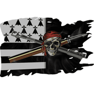 -BCH emblem