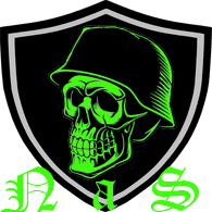 _NAS_ emblem