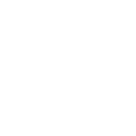 N40 emblem
