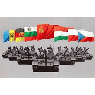 6DVU emblem
